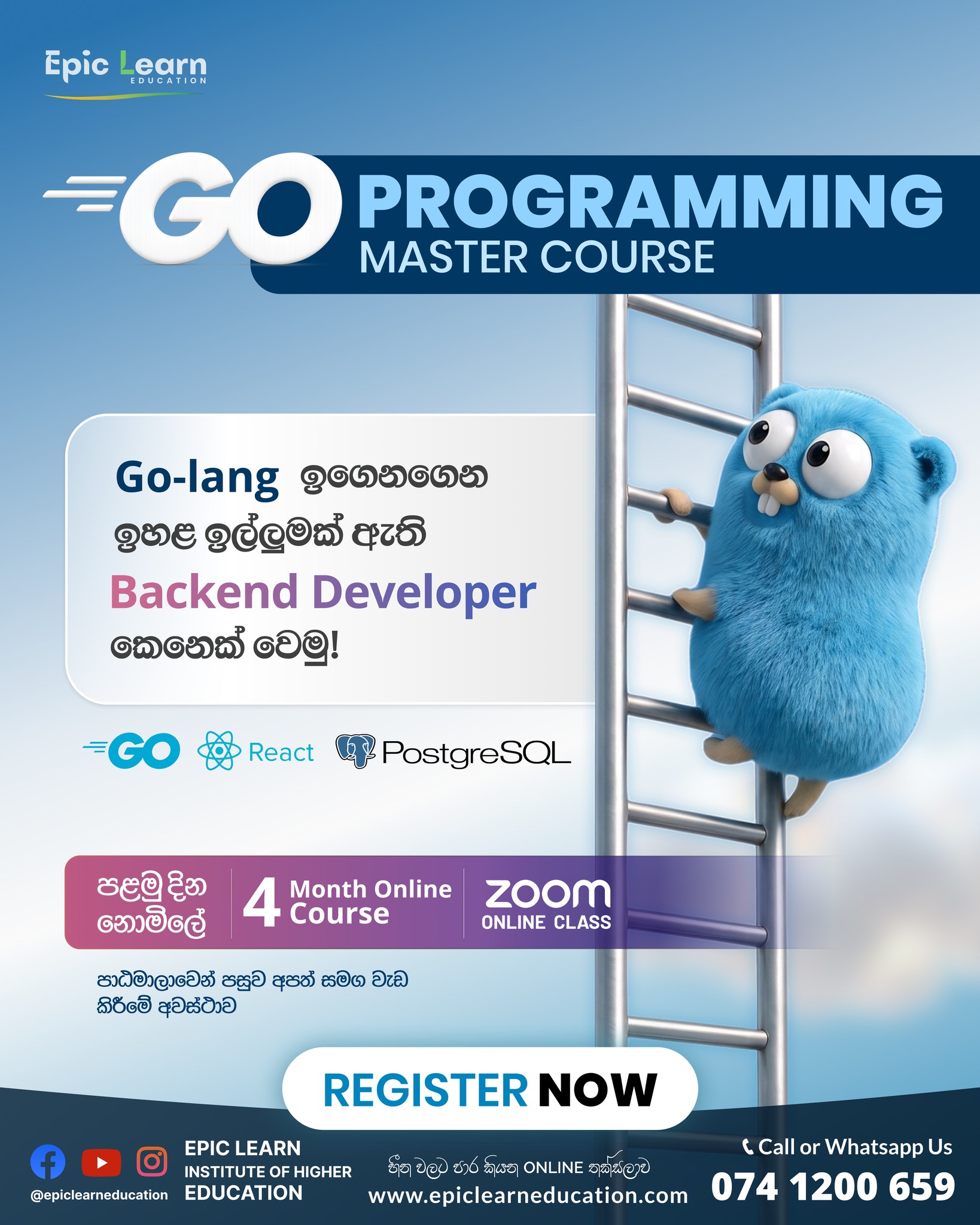 Epic Learn Institute of Higher Education Facebook ad: Go (Golang) සමග Next level එකට Programming Skill…