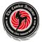 The Combat Academy Children's Martial Arts - Rotherham