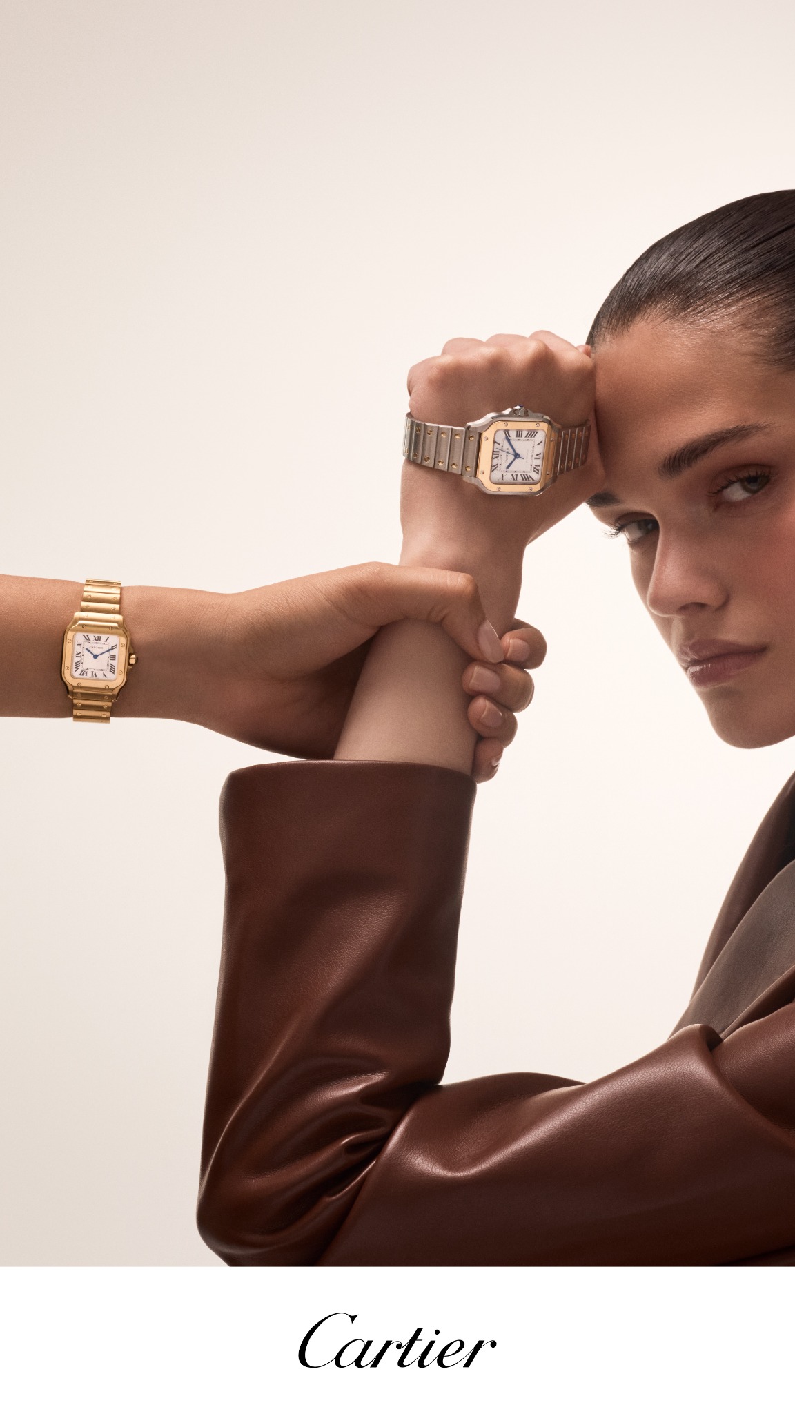 Cartier Facebook ad
