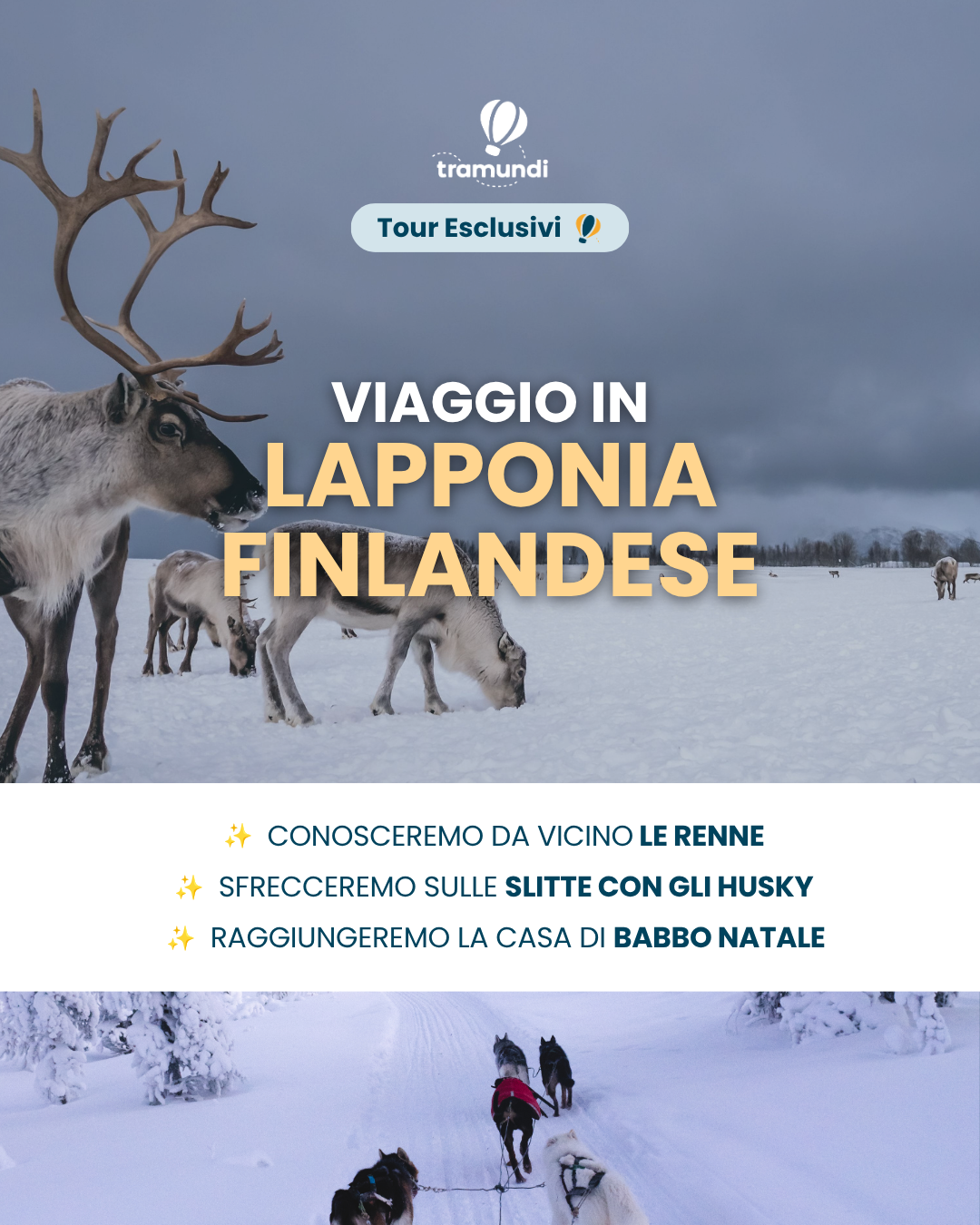 Tramundi Facebook ad