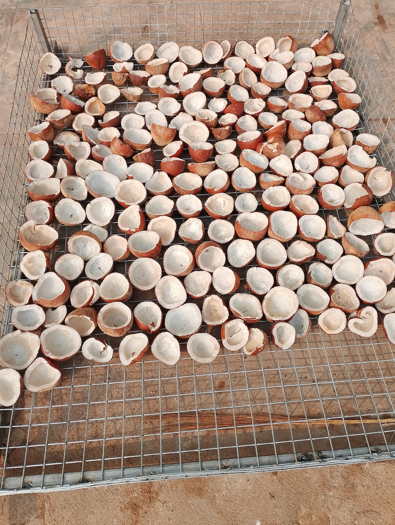 Owl Techno Facebook ad: One-Day Coconut Drying Process | OWL Techno Electric…