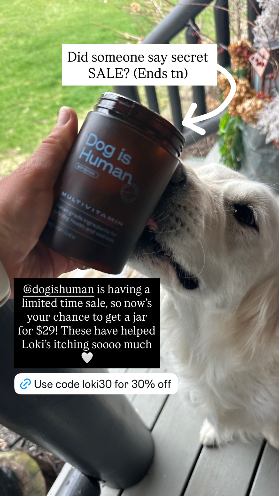 Dog is Human Facebook ad