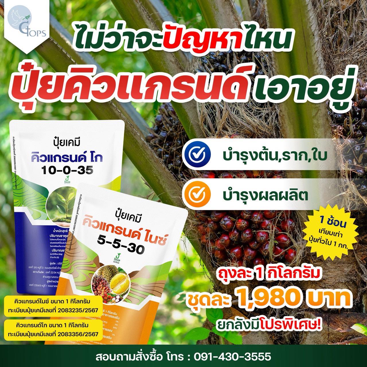 ปุ๋ยคิวแกรนด์ - ปุ๋ยปาล์มลูกดก ทลายใหญ่ น้ำหนักดี ต้นสมบูรณ์ Facebook ad: ไม่ว่าปัญหาสวนปาล์มจะเป็นแบบไหน… คิวแกรนด์เอาอยู่!