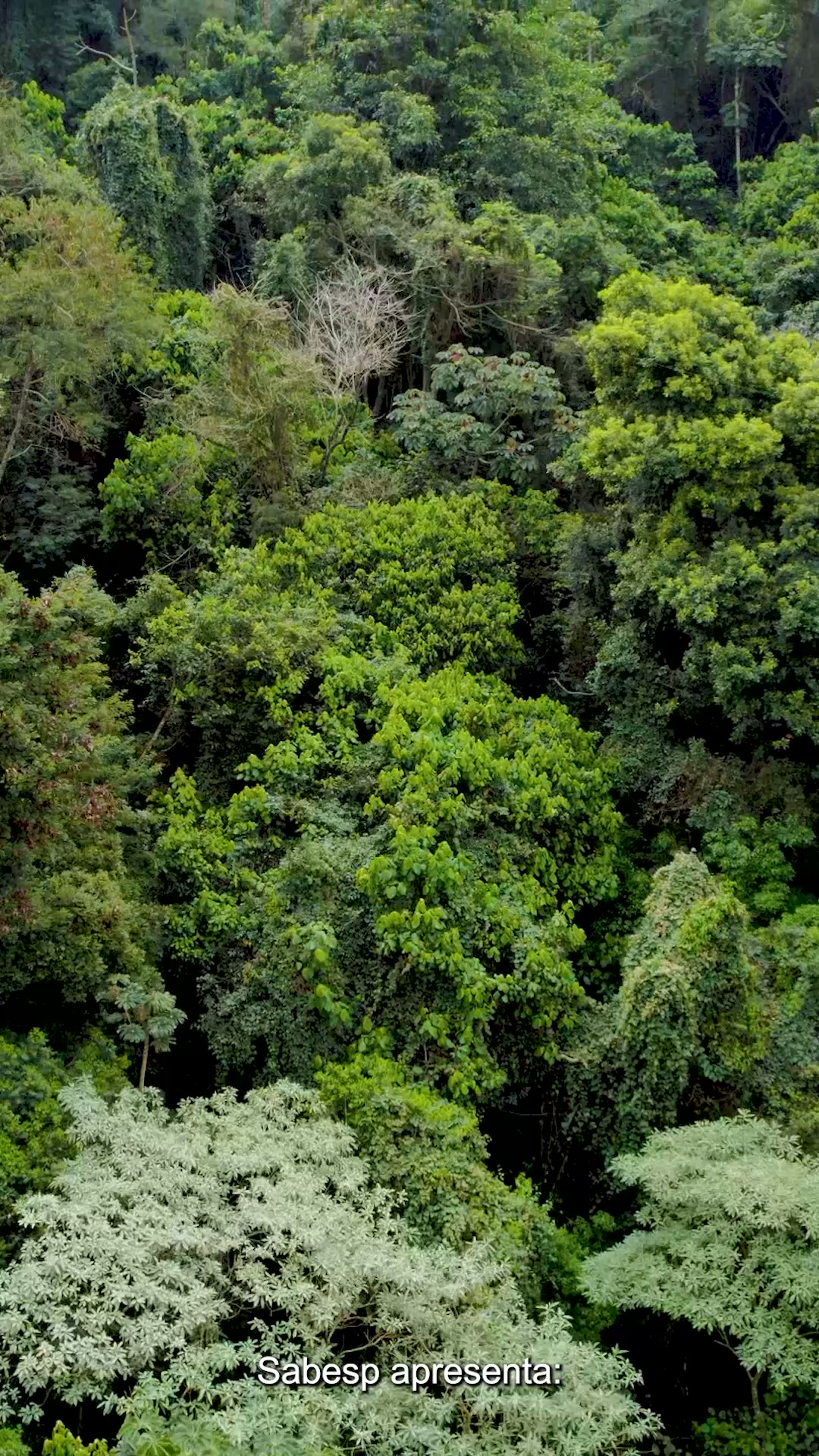 Sabesp Facebook ad: Sabesp Official: Instagram, X, Facebook | Linktree