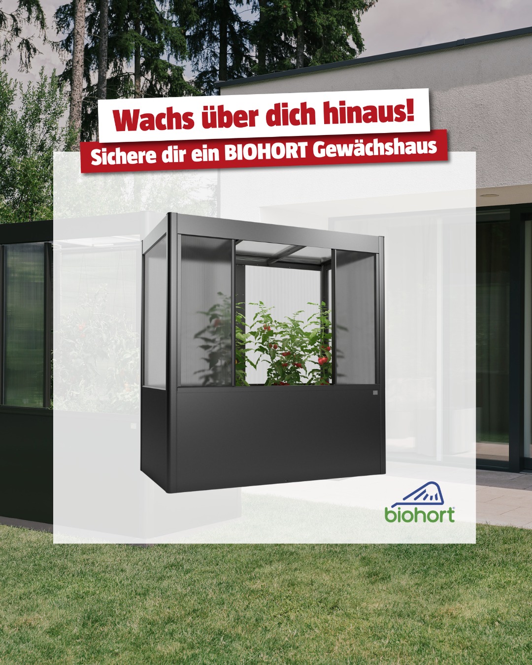 BAUHAUS Österreich Facebook ad