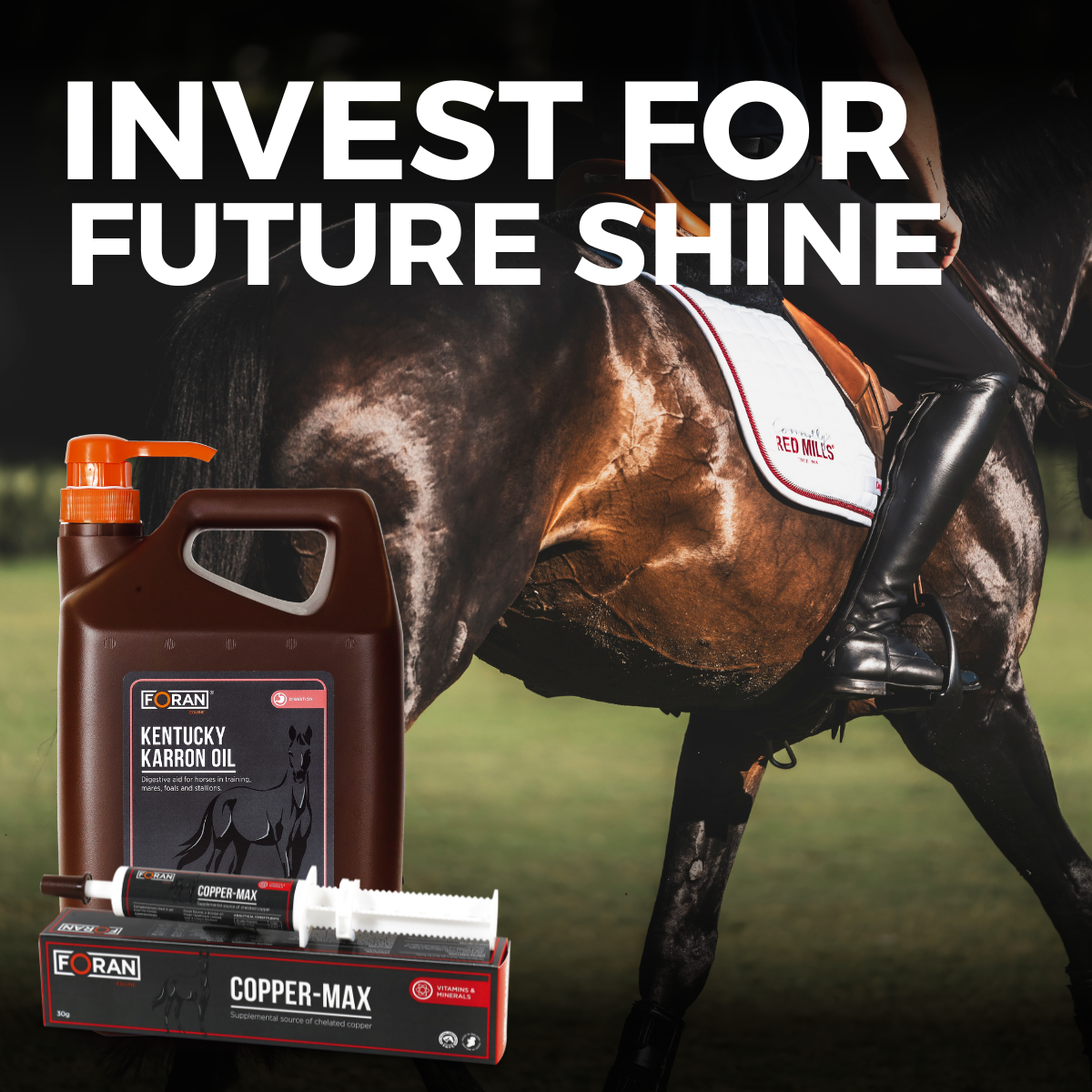 Foran Equine Facebook ad