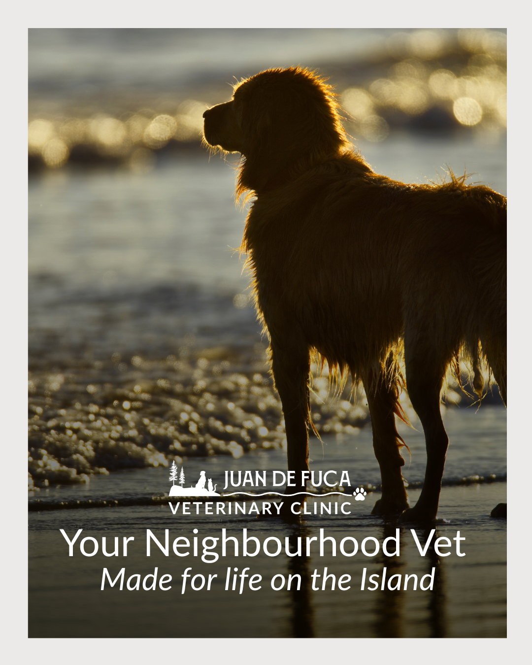 Juan de Fuca Veterinary Clinic Facebook ad