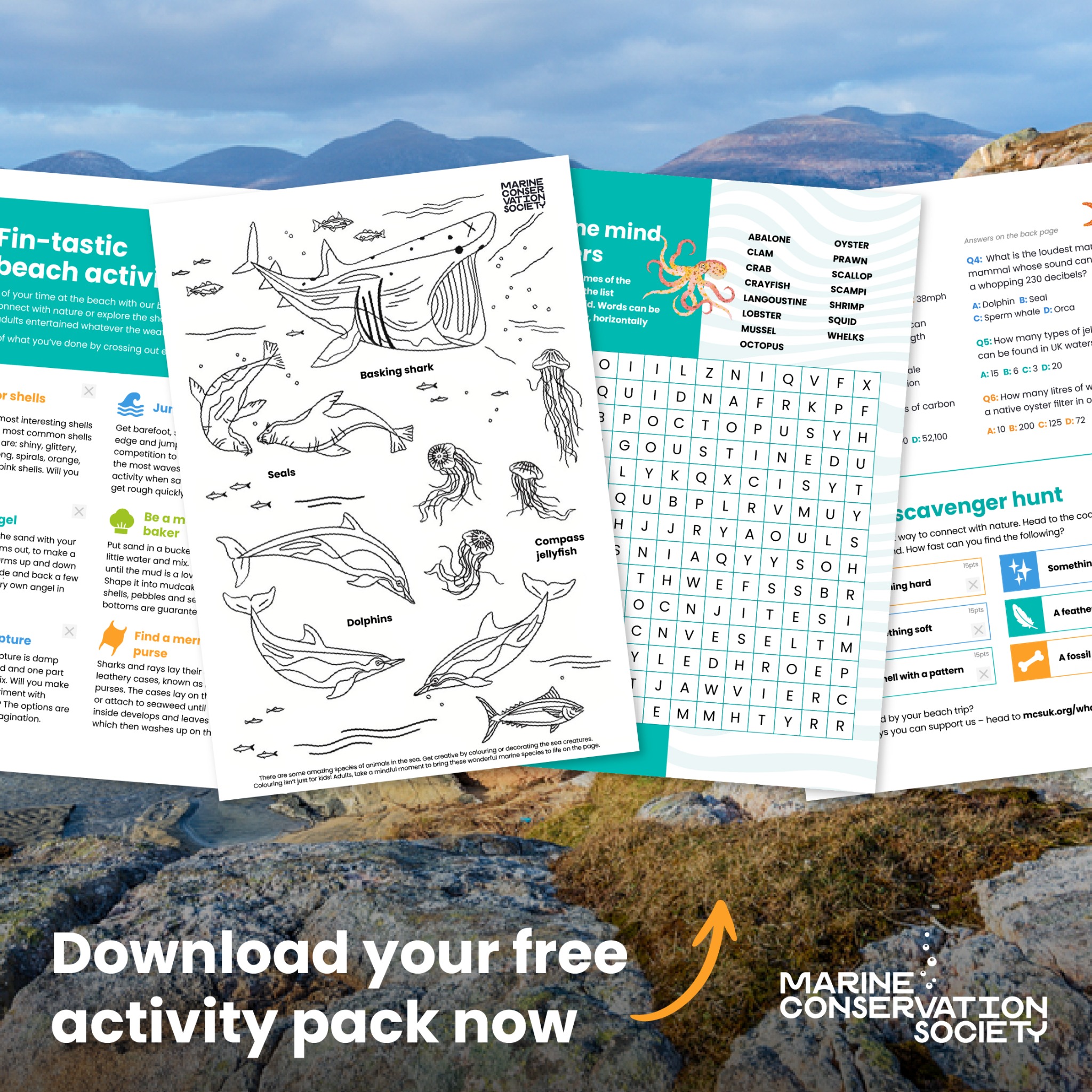 Marine Conservation Society Facebook ad