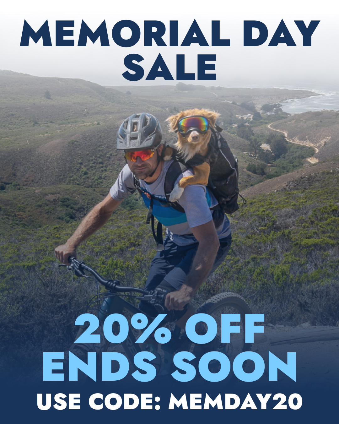 K9 Sport Sack Facebook ad