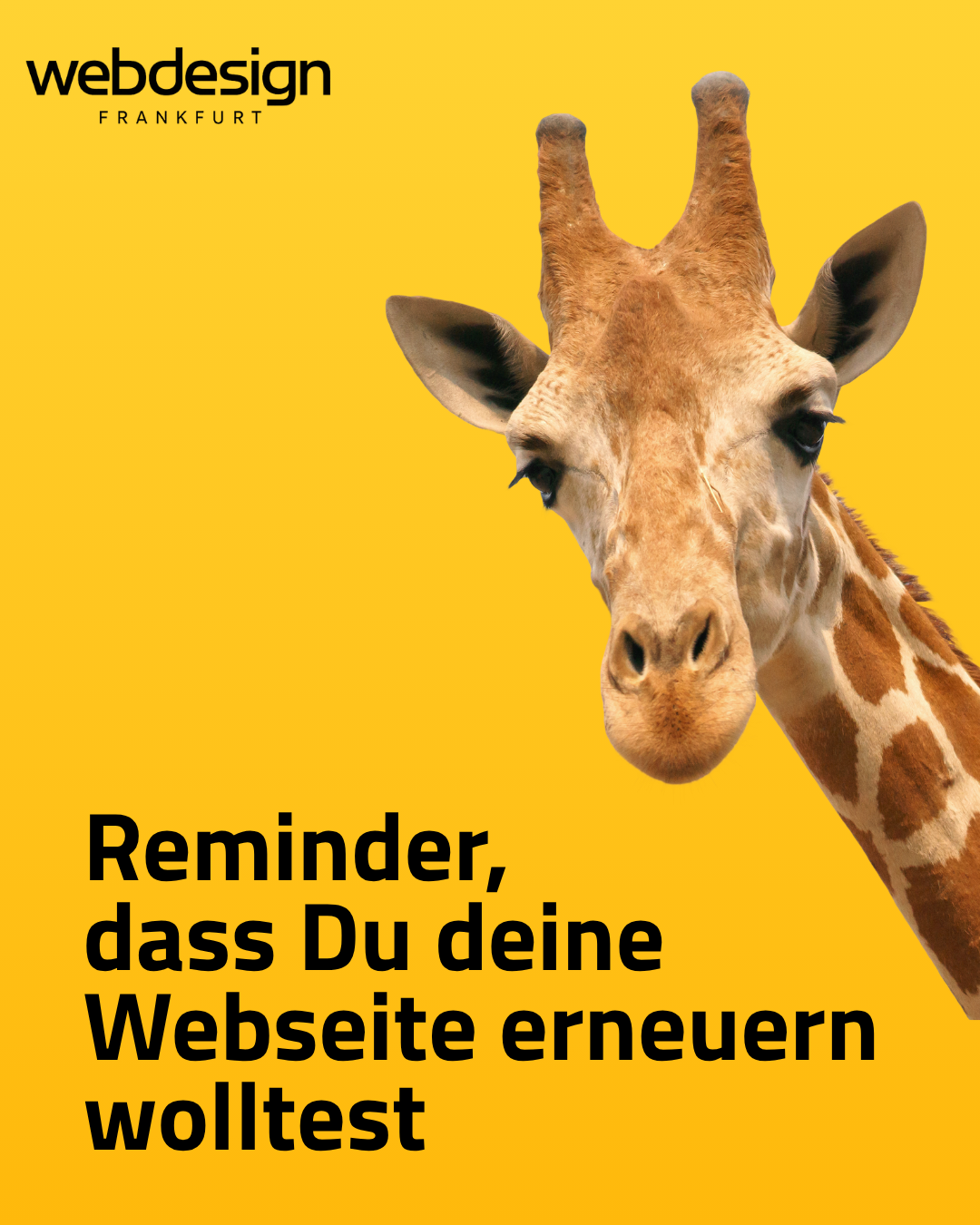Webdesign Frankfurt Facebook ad