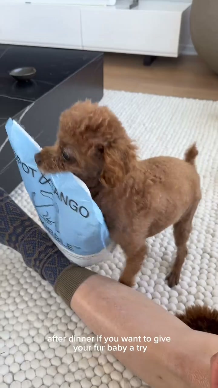 Spot and Tango Facebook ad: UnKibble, Try for 50% Off Today