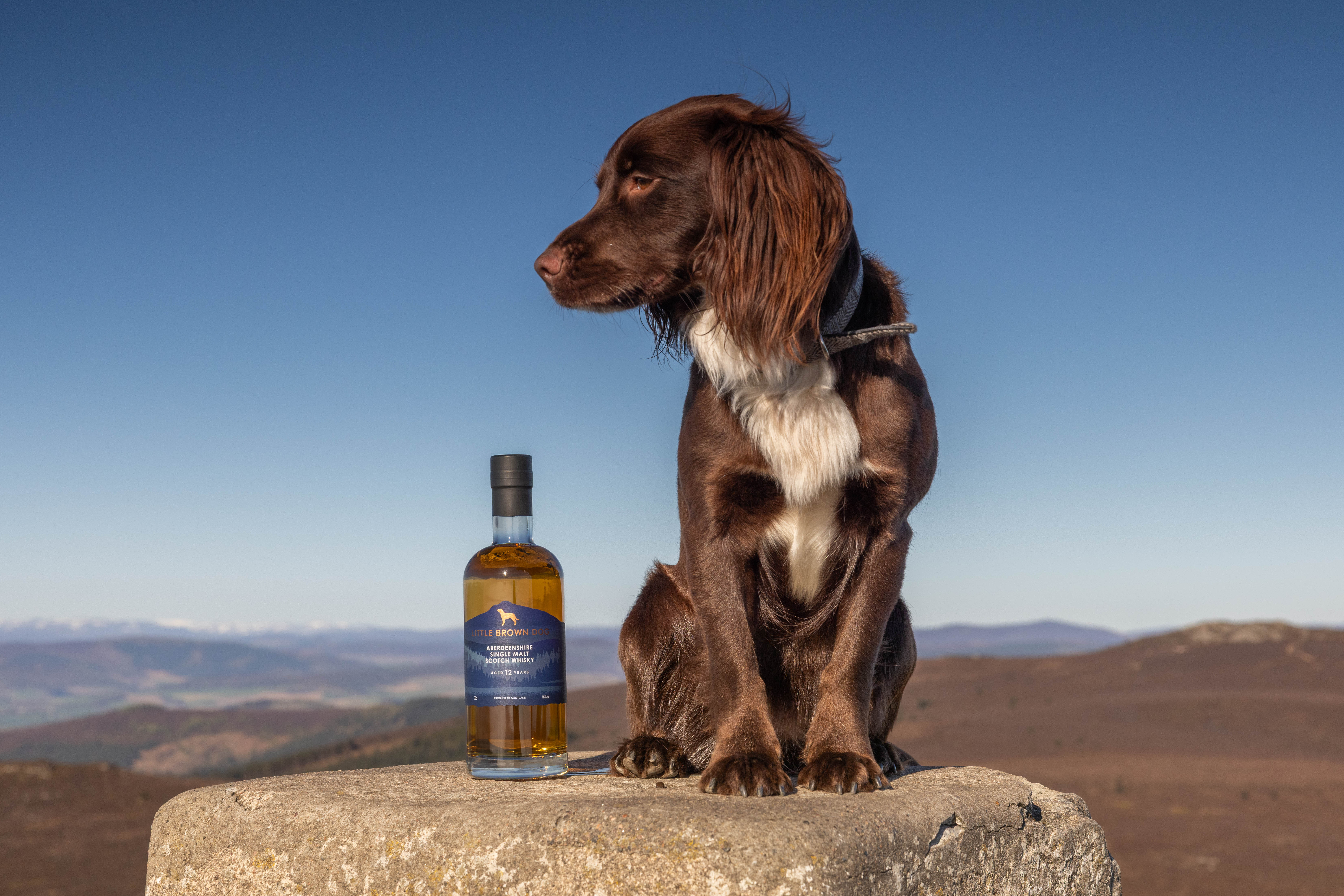 Little Brown Dog Spirits Facebook ad
