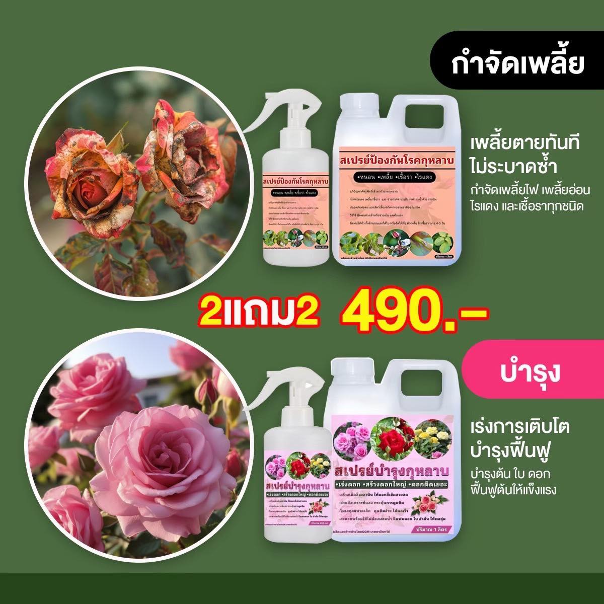กุหลาบ คนรักกุหลาบ Facebook ad: เซตคู่บำรุงกุหลาบครบวงจร