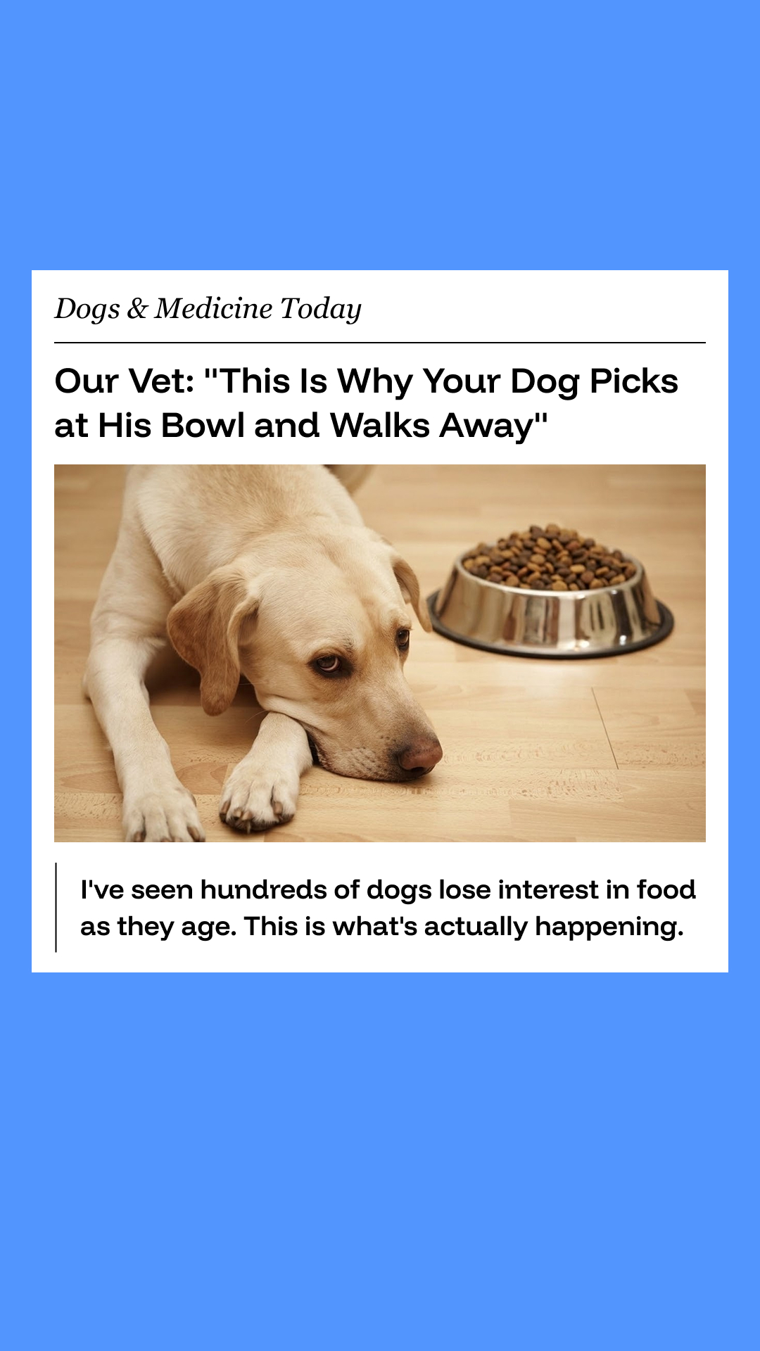 Pawprint Lab Facebook ad from Mar 8, 2026
