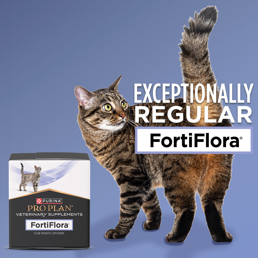 Purina Pro Plan Vet Facebook ad
