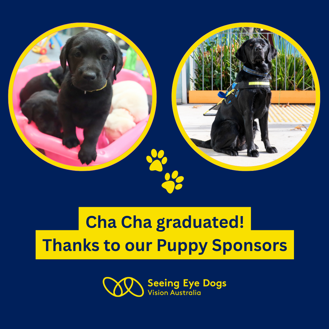 Seeing Eye Dogs Facebook ad: Puppy Sponsorship
