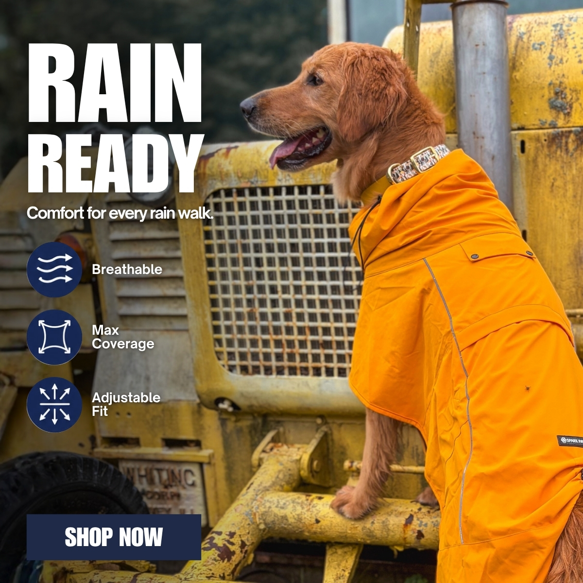Spark Paws Facebook ad