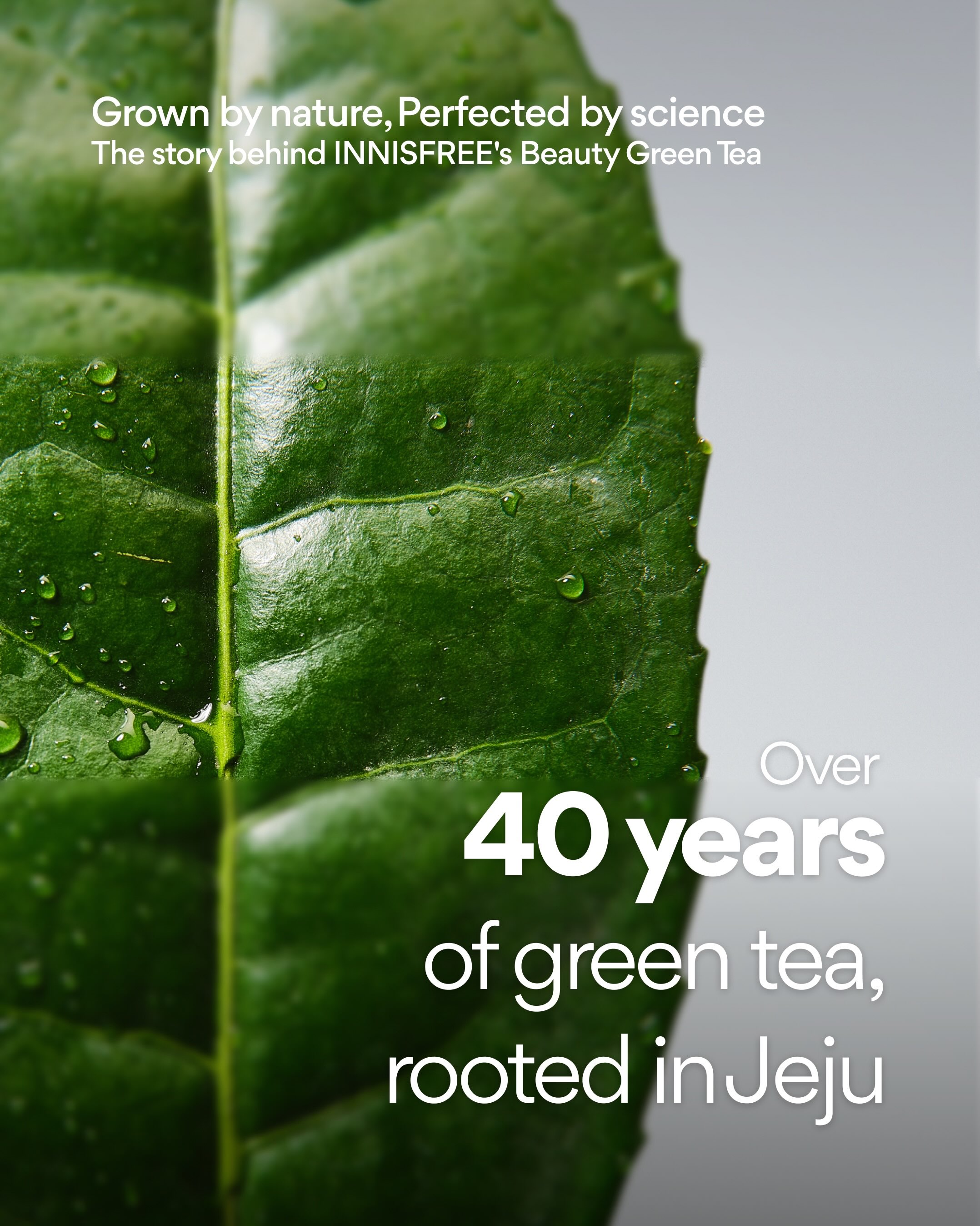INNISFREE India Facebook ad