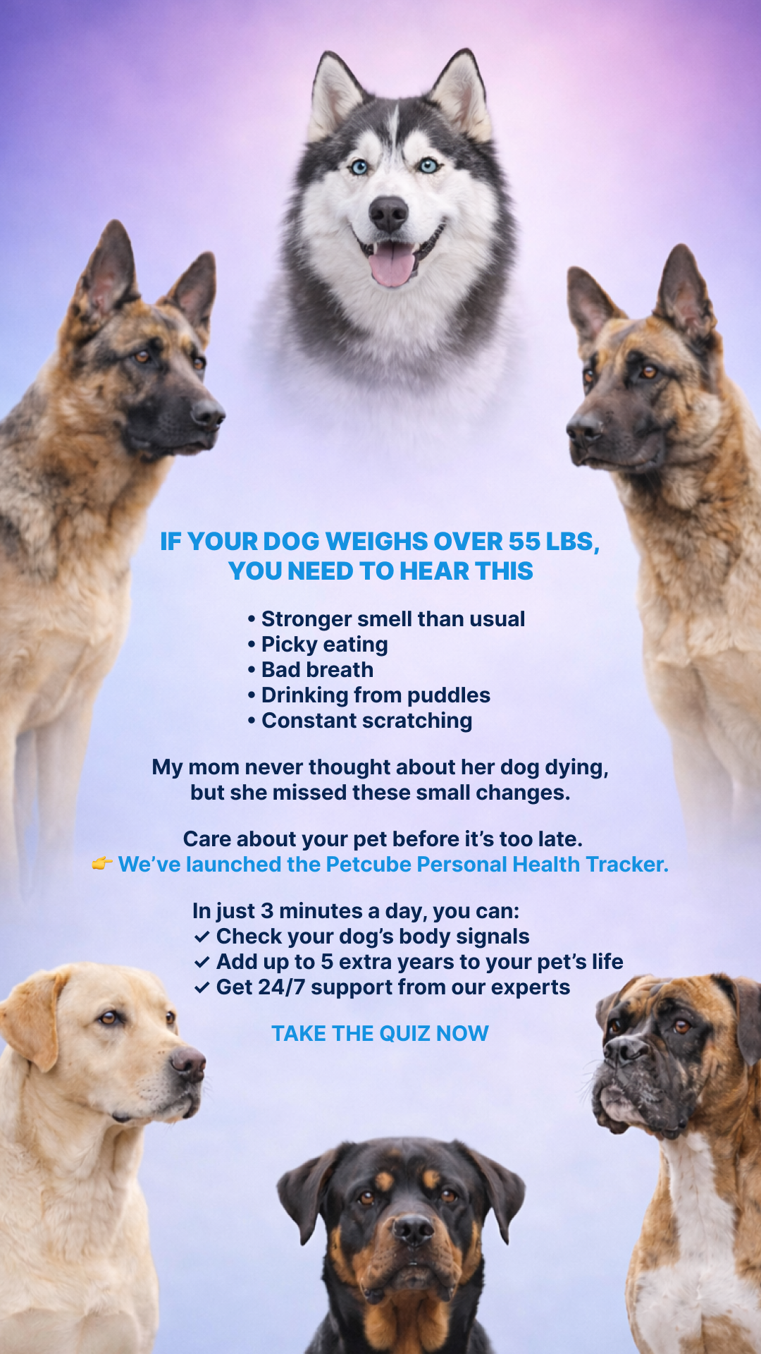 Petcube Facebook ad