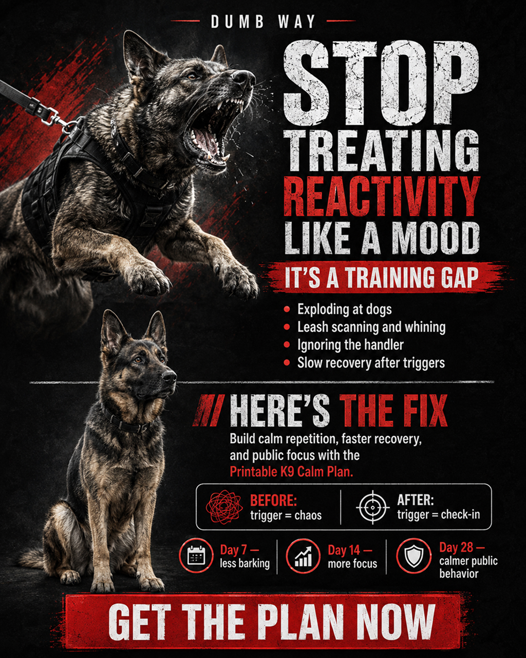 1st Dog Training Club Facebook ad