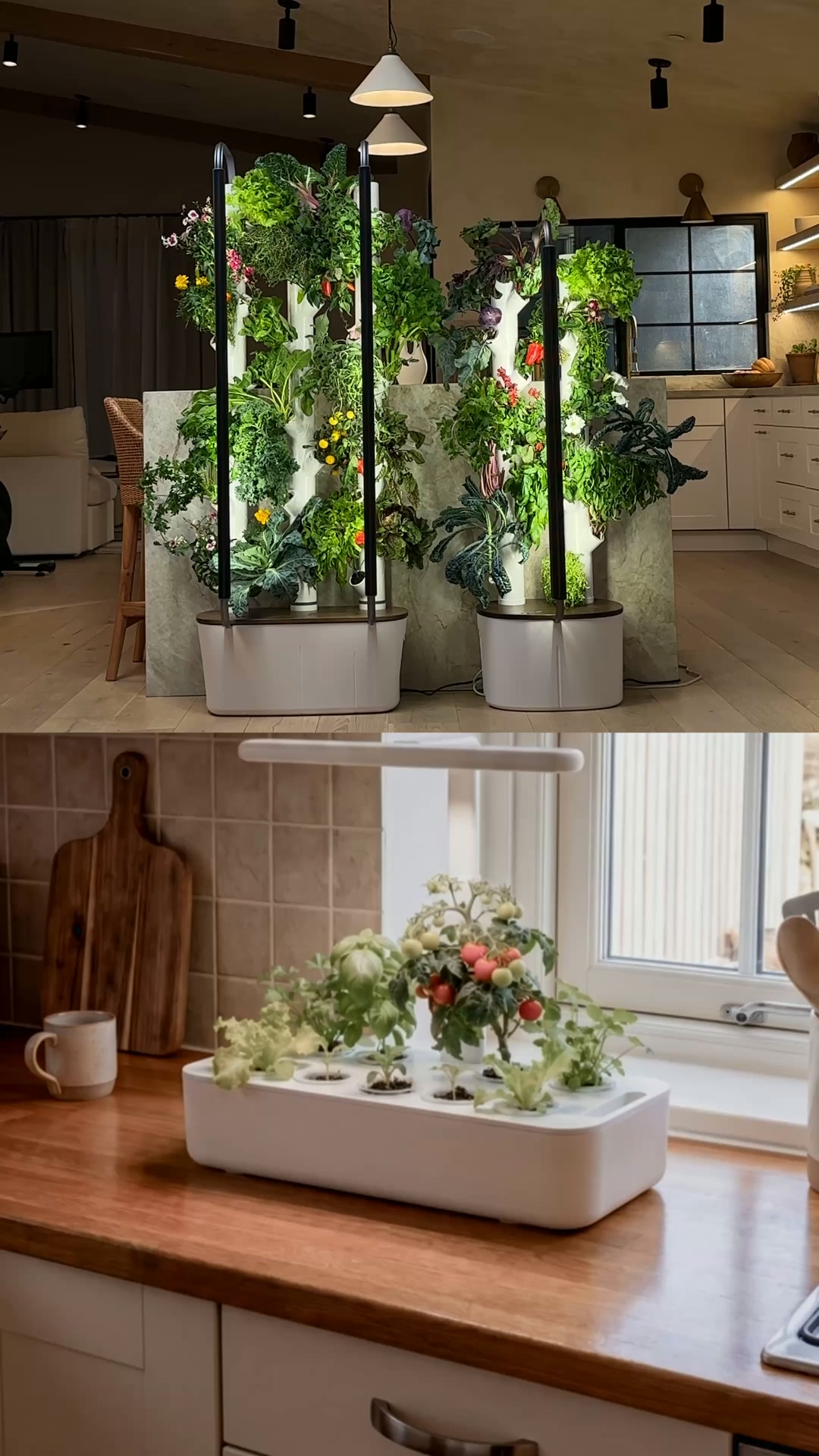 Gardyn Facebook ad: Stop Growing Garnishes. Start Growing Dinners.