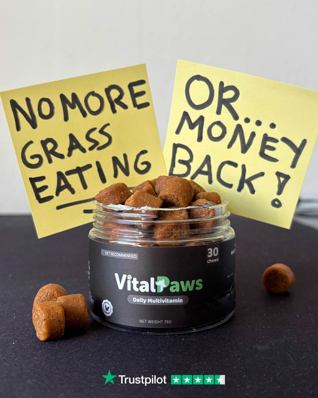 VitalPaws Facebook ad