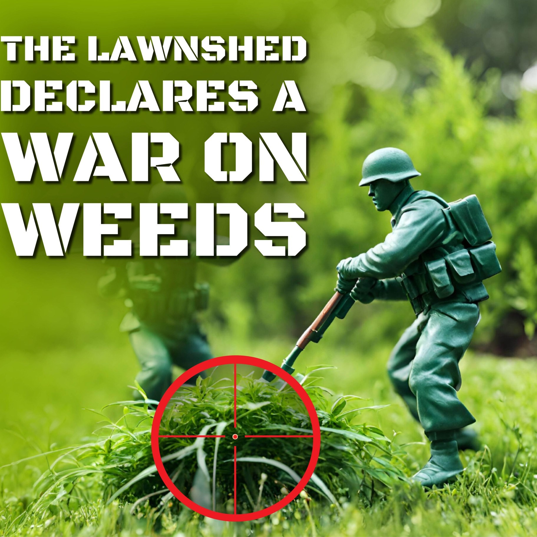The Lawn Shed NZ Facebook ad: Weed control that works