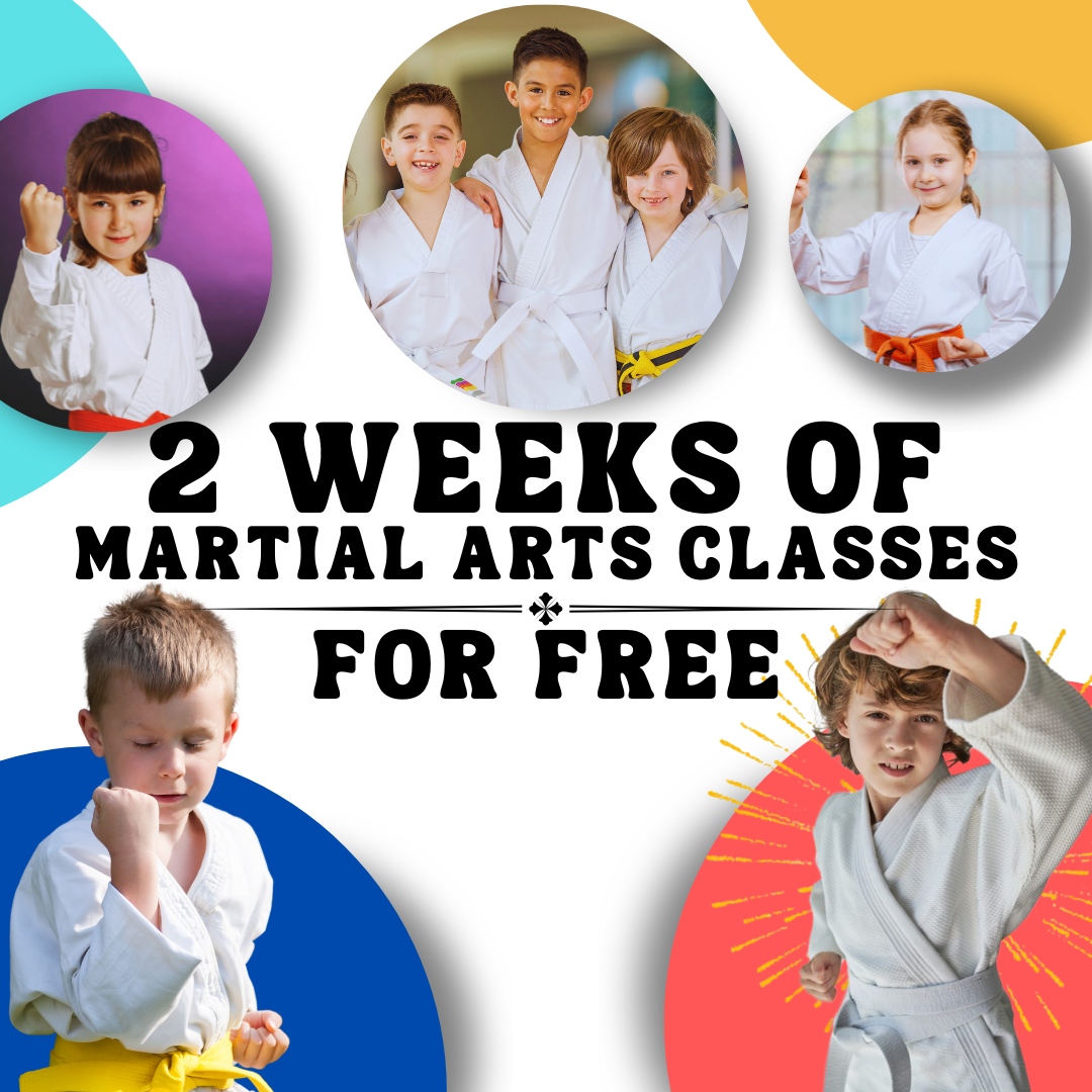 TMA Martial Arts - Streamwood Facebook ad