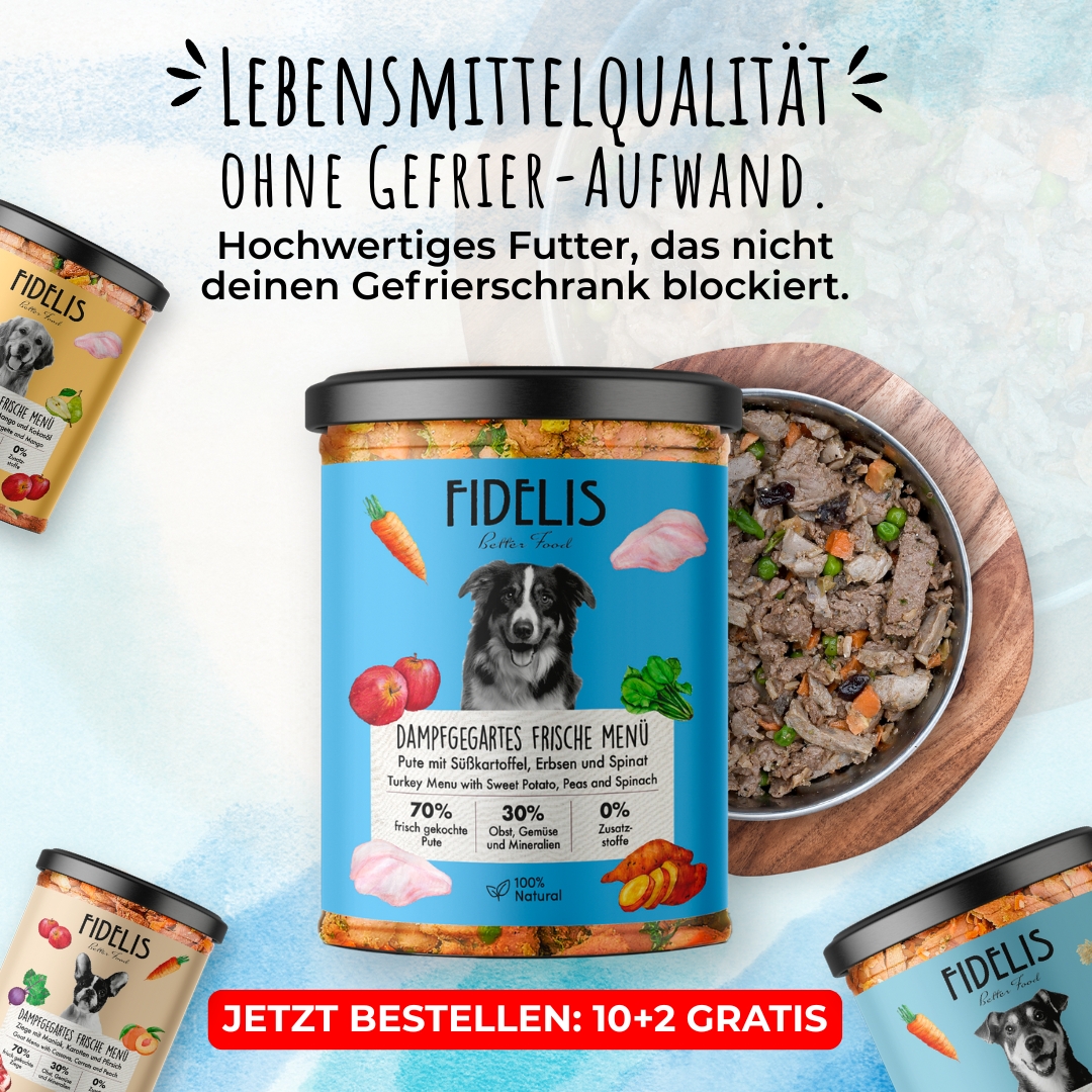 Fidelis.dog Facebook ad