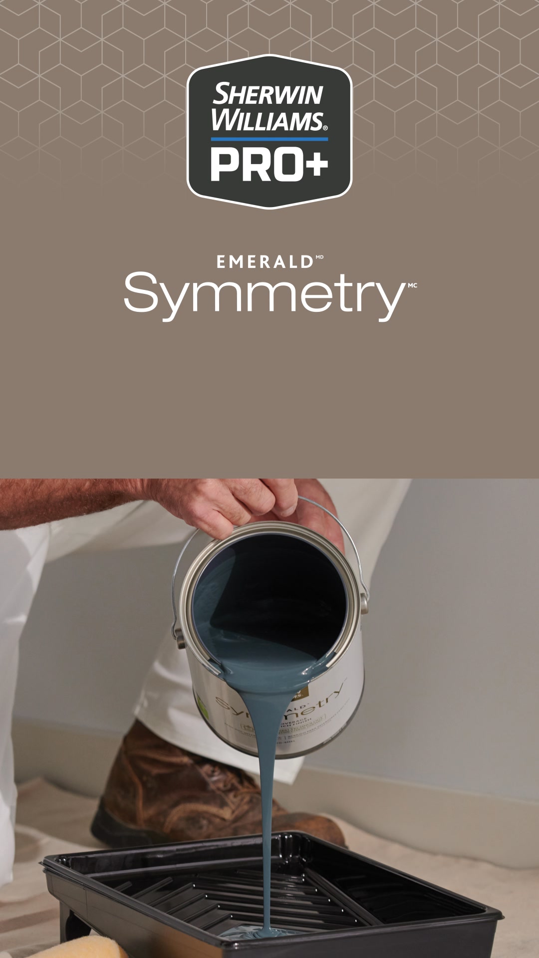 Sherwin-Williams Bien Pro Facebook ad from Jun 2, 2026