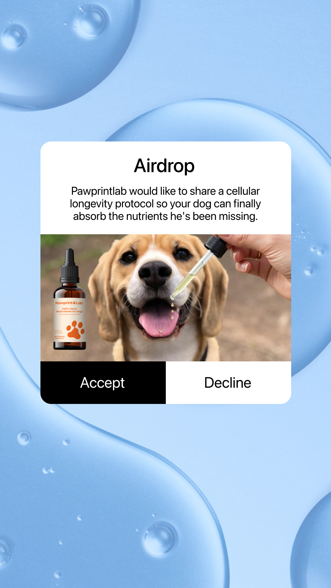 Pawprint Lab Facebook ad from Mar 8, 2026