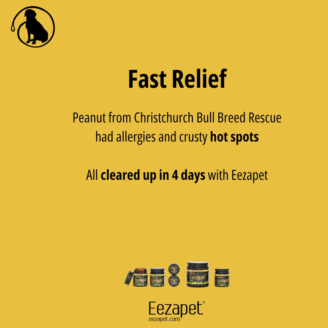 Eezapet - relieves the itch Facebook ad: The constant scratching is real!
