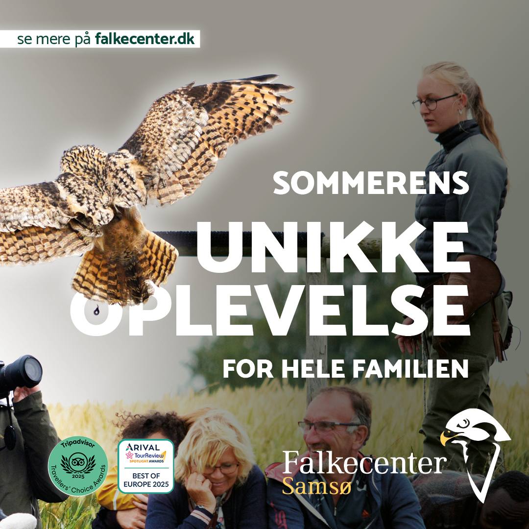 Falkecenter Samsø Facebook ad: Bliv Falkoner hos Falkecenter Samsø