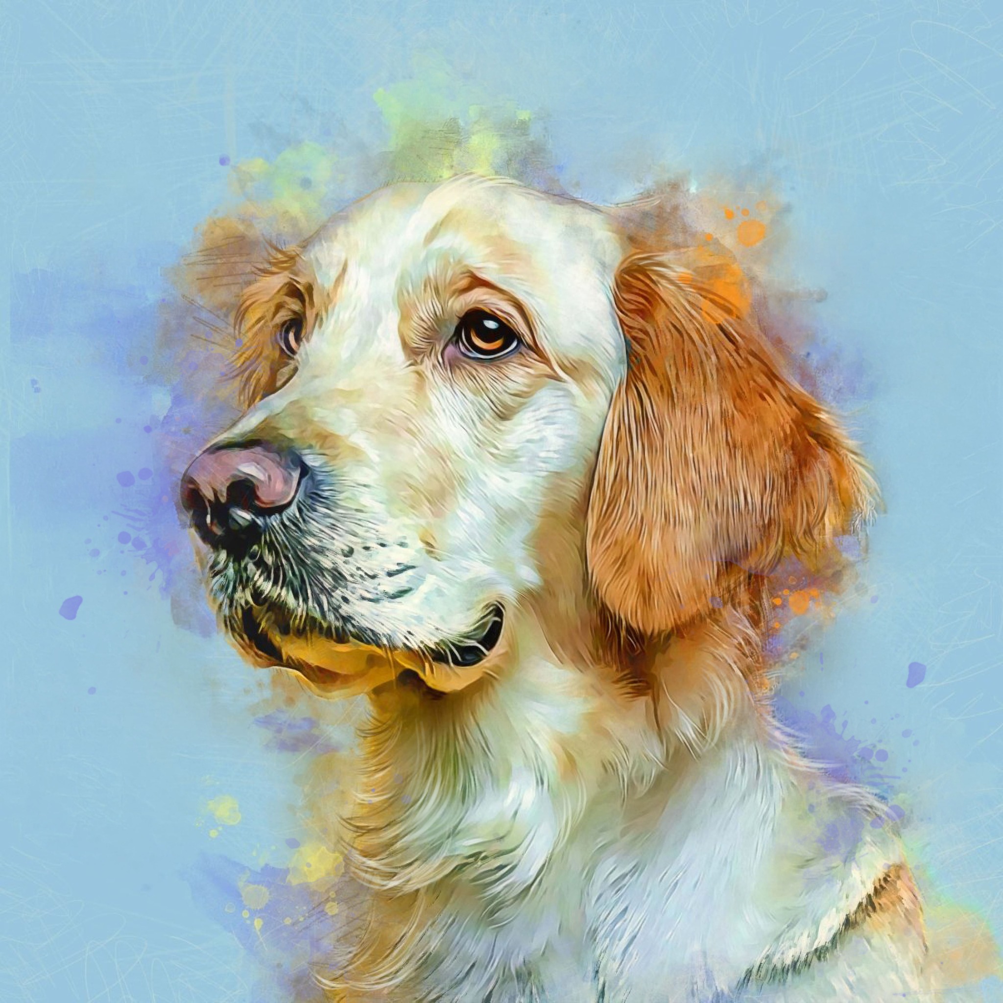 Pawss Facebook ad: Celebrate the love you share with your pet