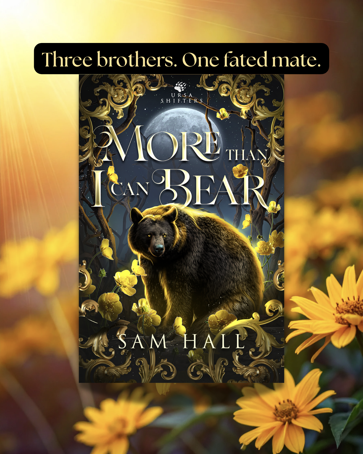 Sam Hall - Romance Author Facebook ad