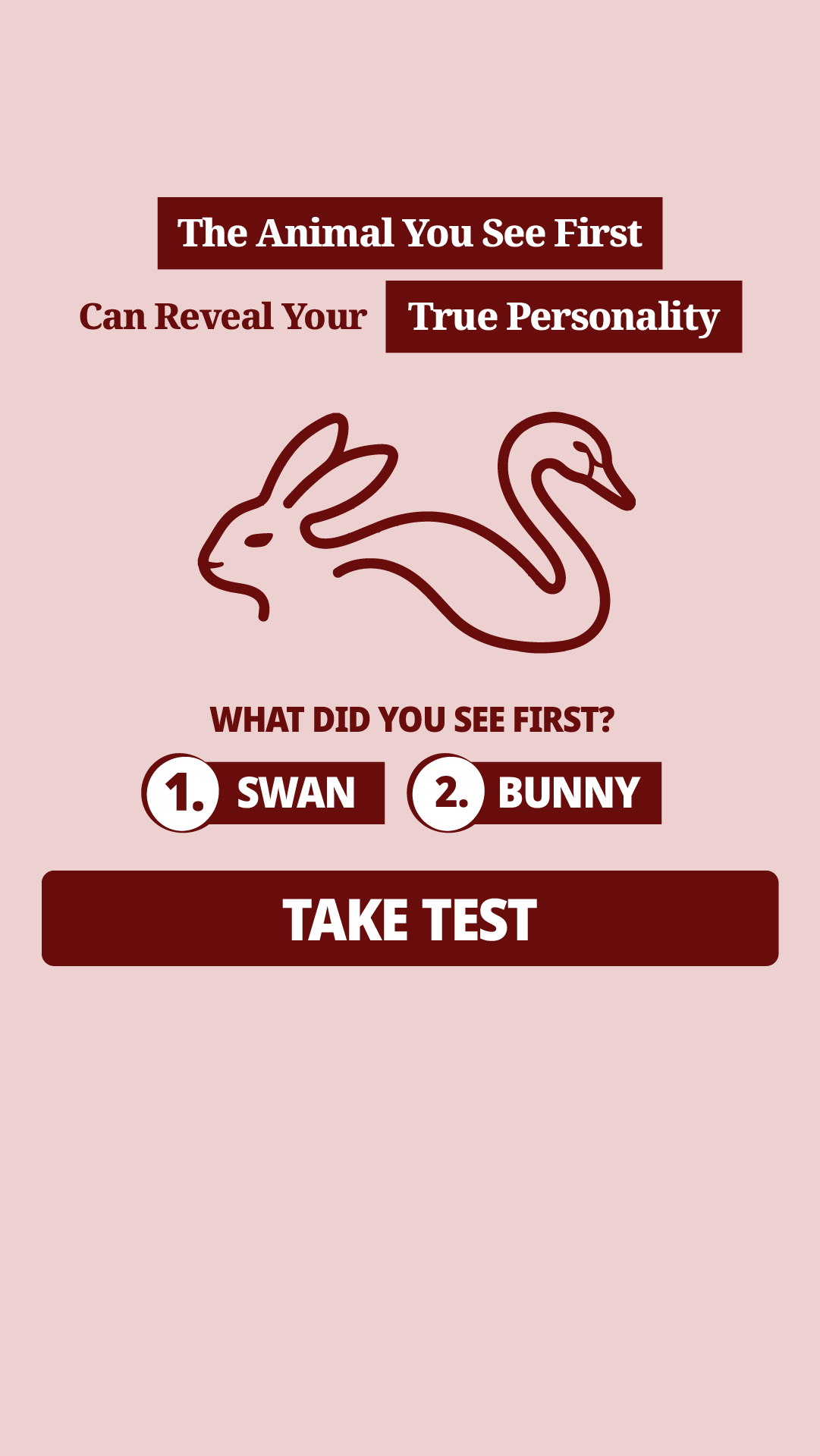My IQ Personality Test Facebook ad from Feb 27, 2026