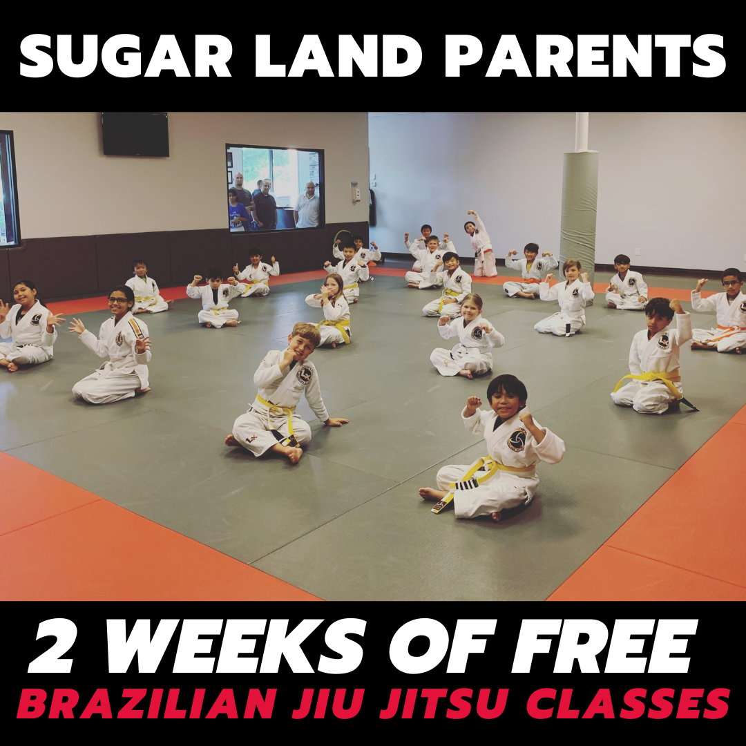 LX Jiu-Jitsu & Self Defense - Sugar Land, TX Facebook ad