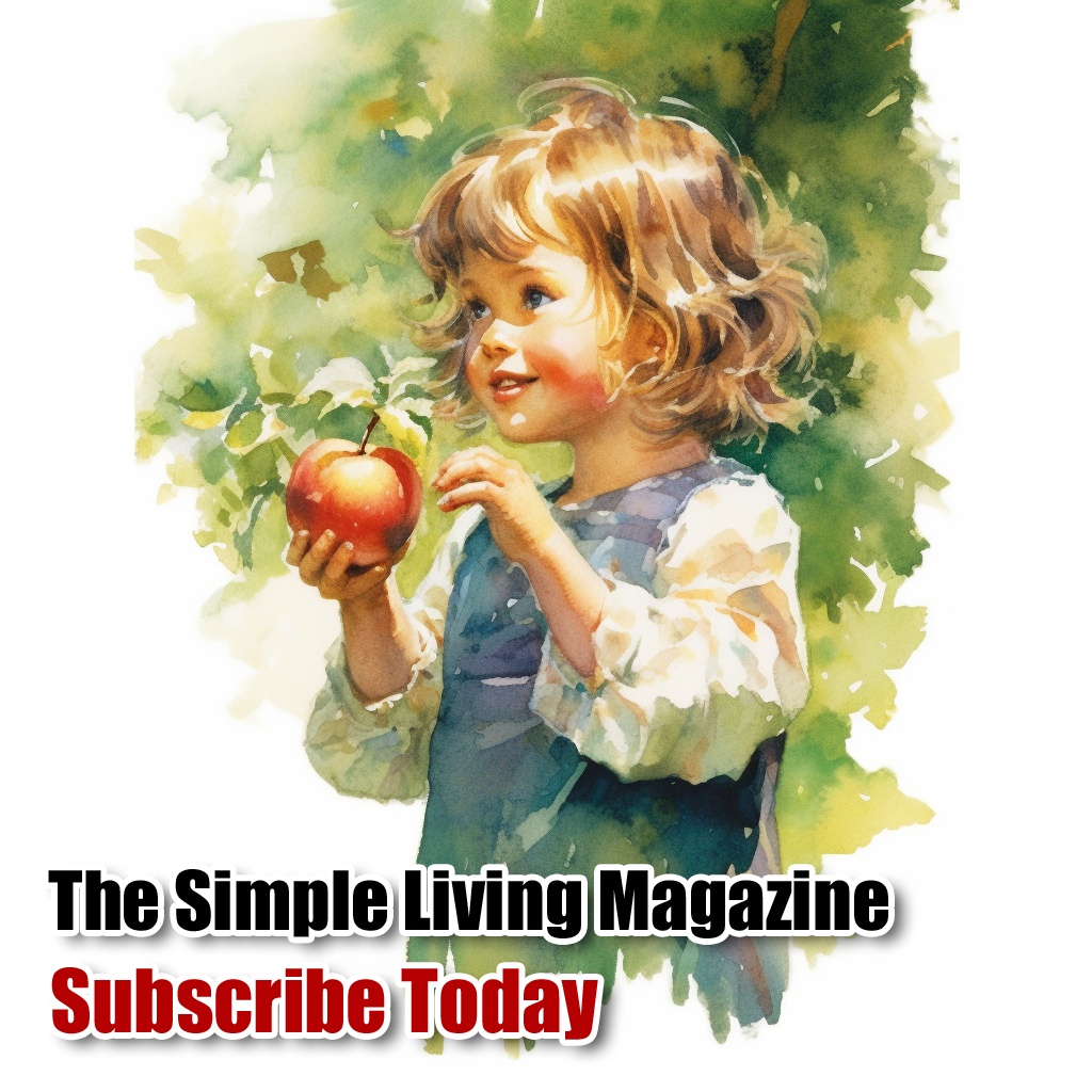 Backwoods Home Magazine Facebook ad