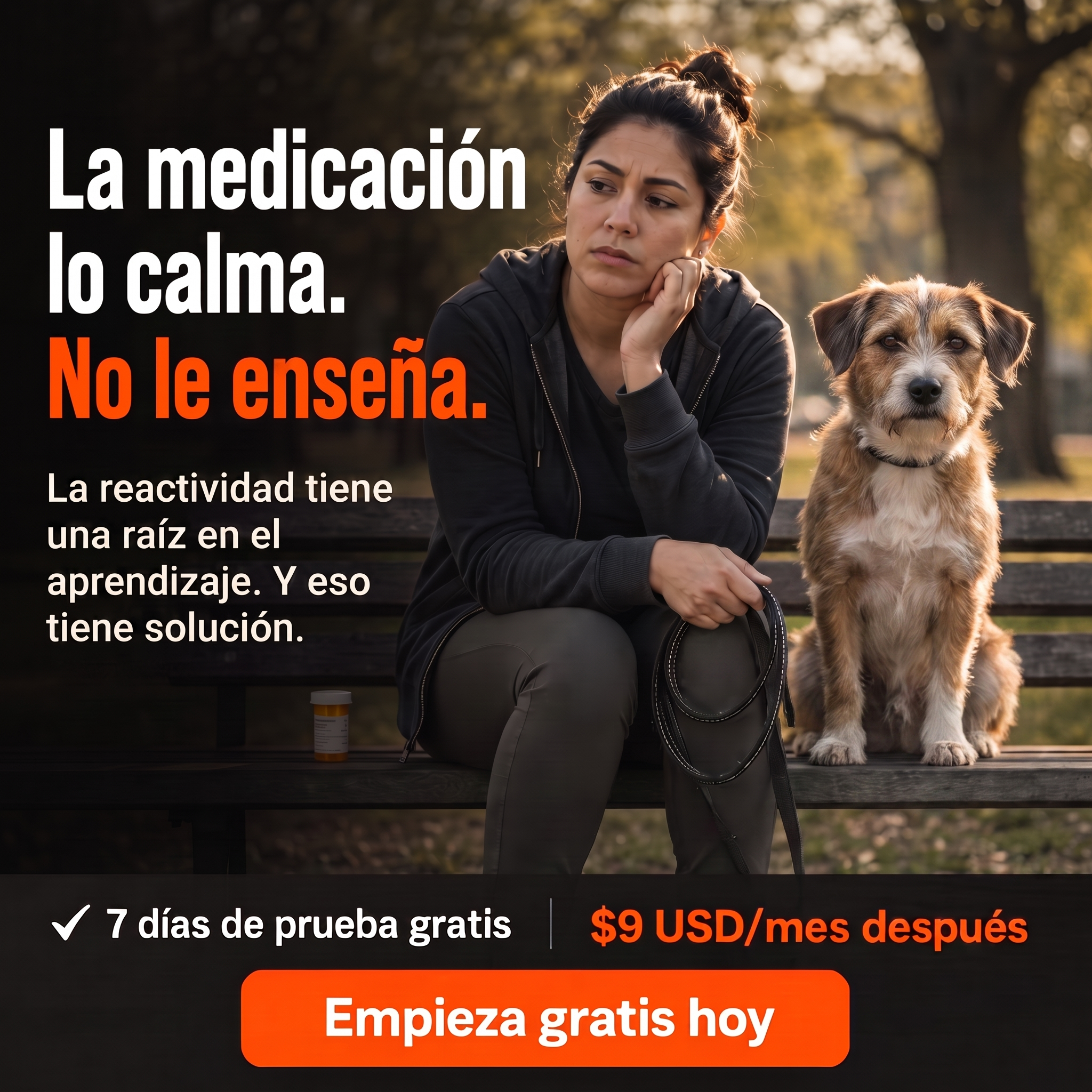 El Profesor Canino Facebook ad