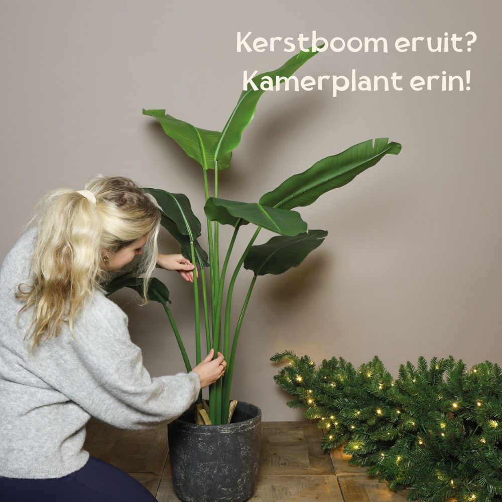 Geurvoorjehuis Facebook ad: Gratis verzending vanaf €35