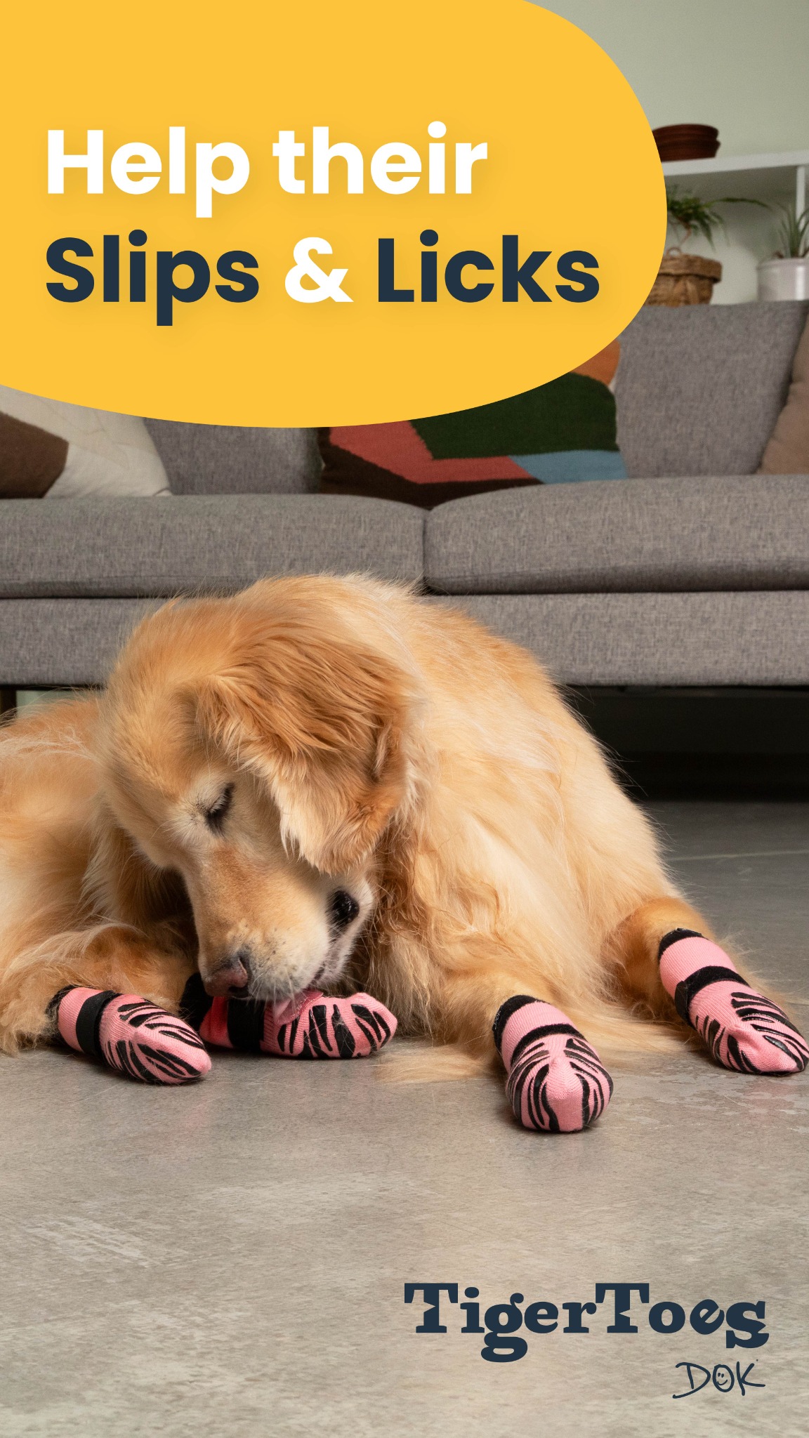 Petco Facebook ad