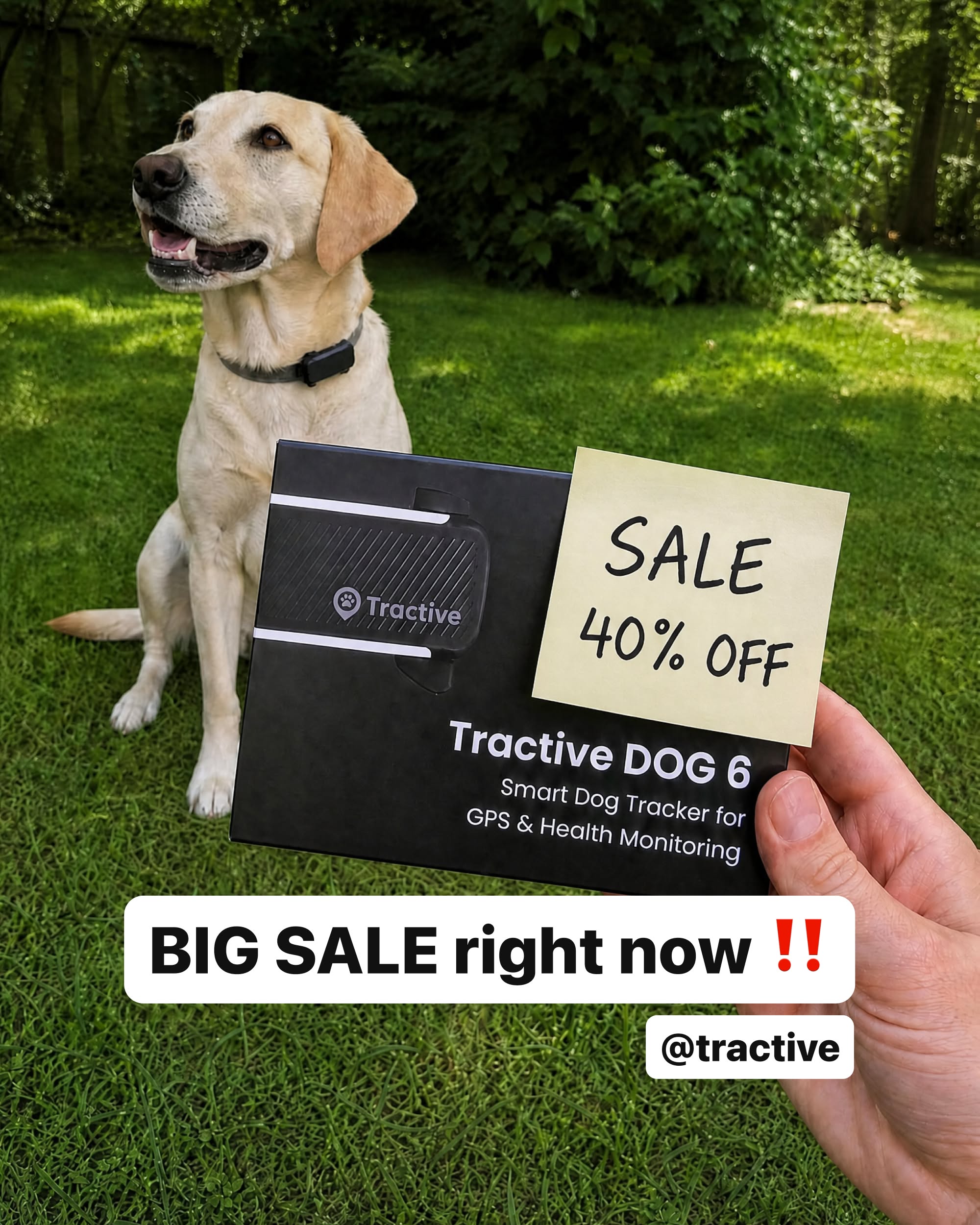 Tractive Facebook ad