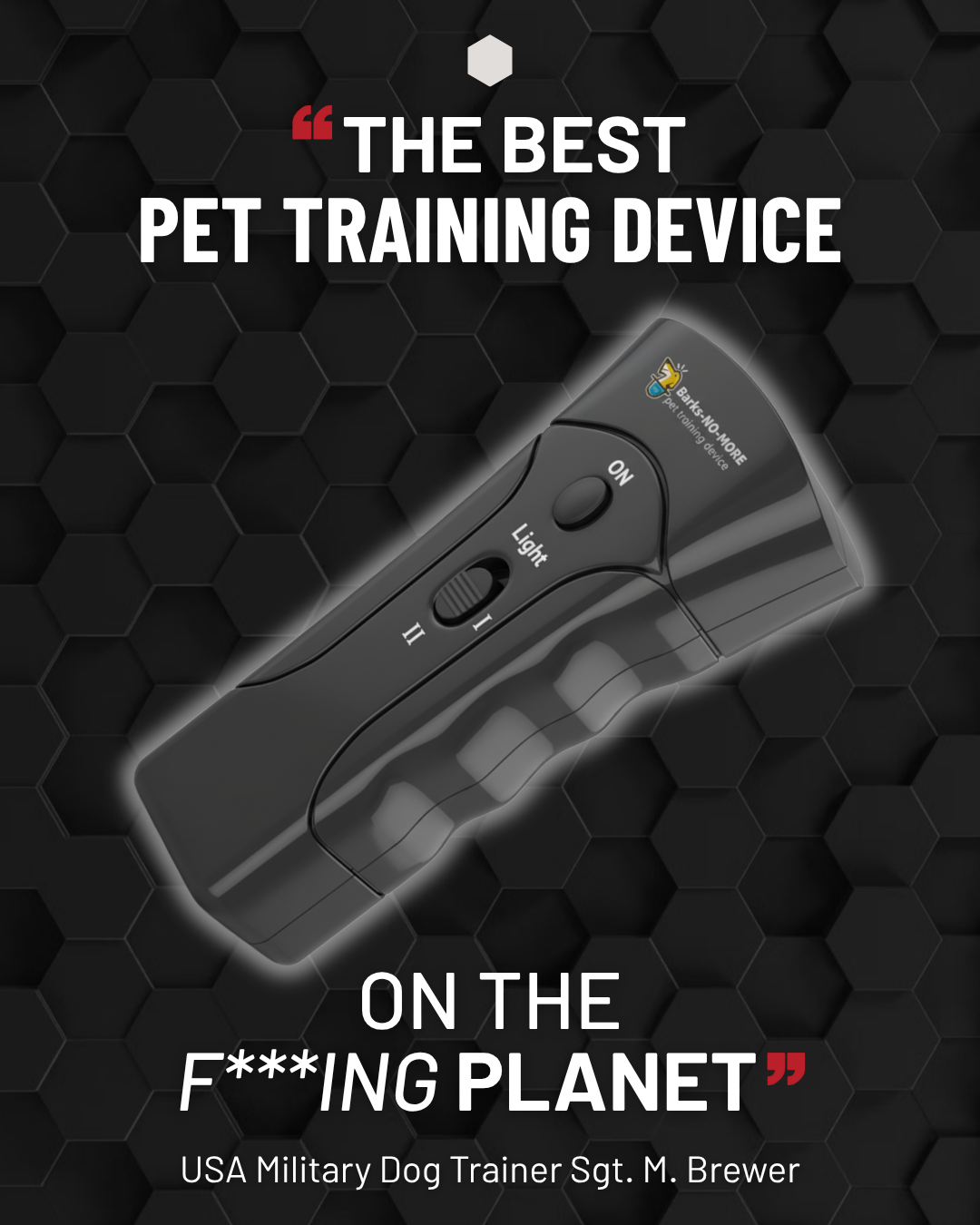 Dog Training Pros Facebook ad