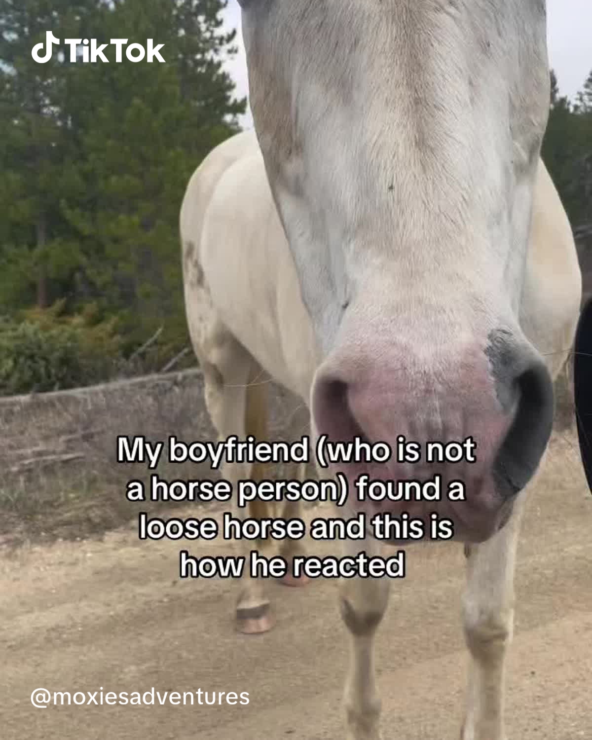 TikTok - US Facebook ad