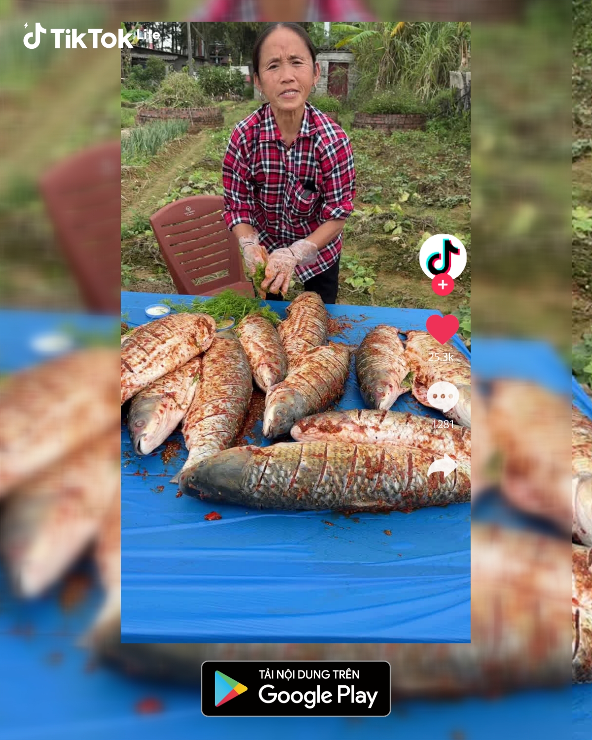 TikTok Lite Facebook ad