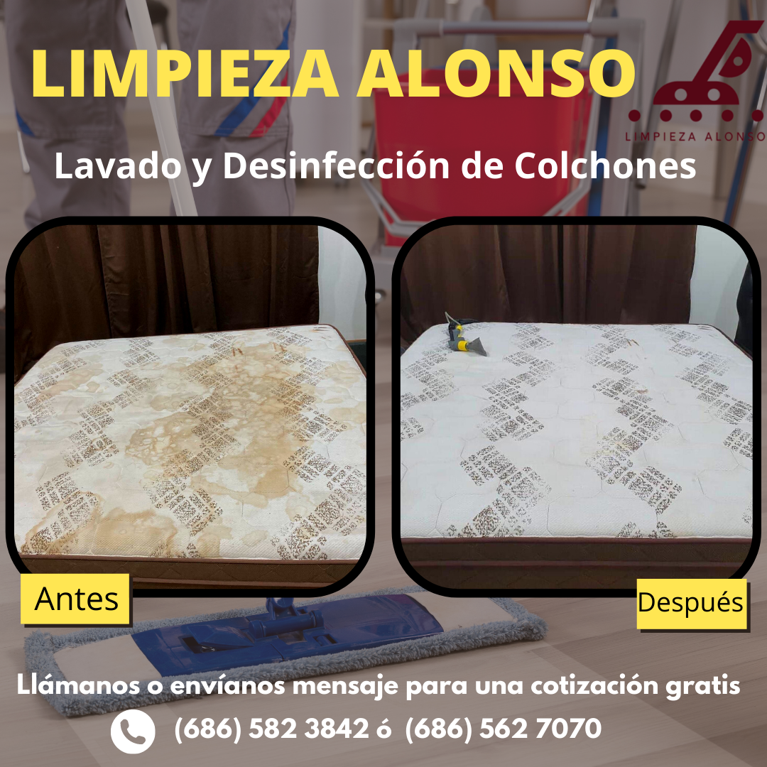 Limpieza Alonso Facebook ad: ¡Presupuestos Gratis!