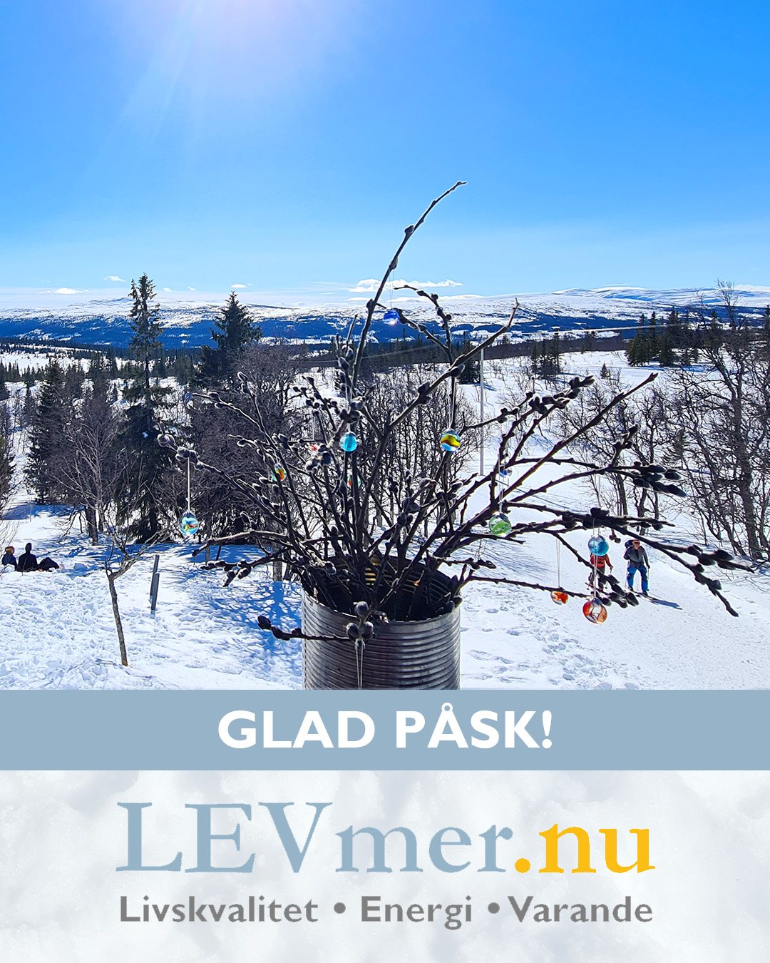 LEVmer.nu Facebook ad: Fjällretreat med LEV mer nu