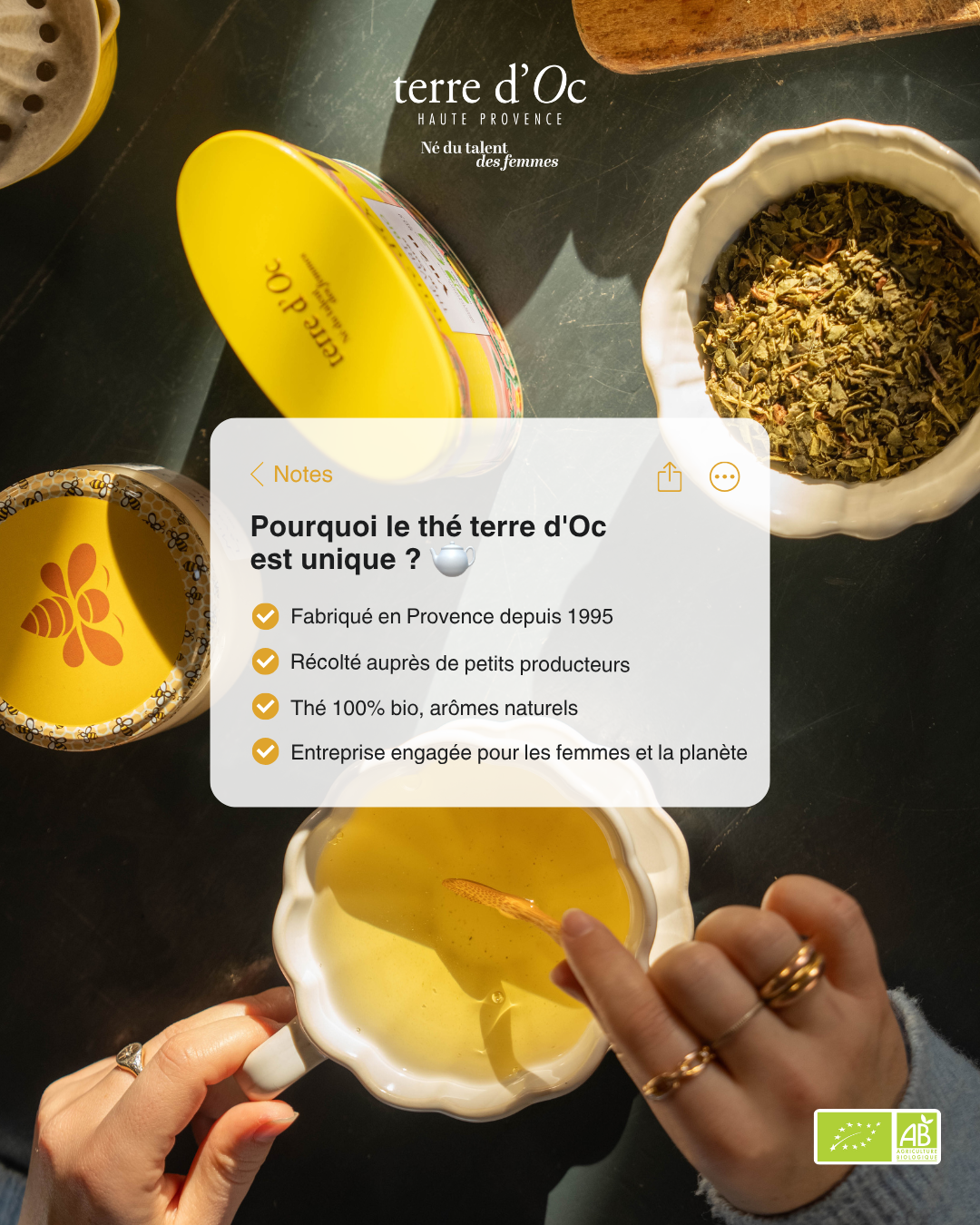 terre d'Oc Facebook ad