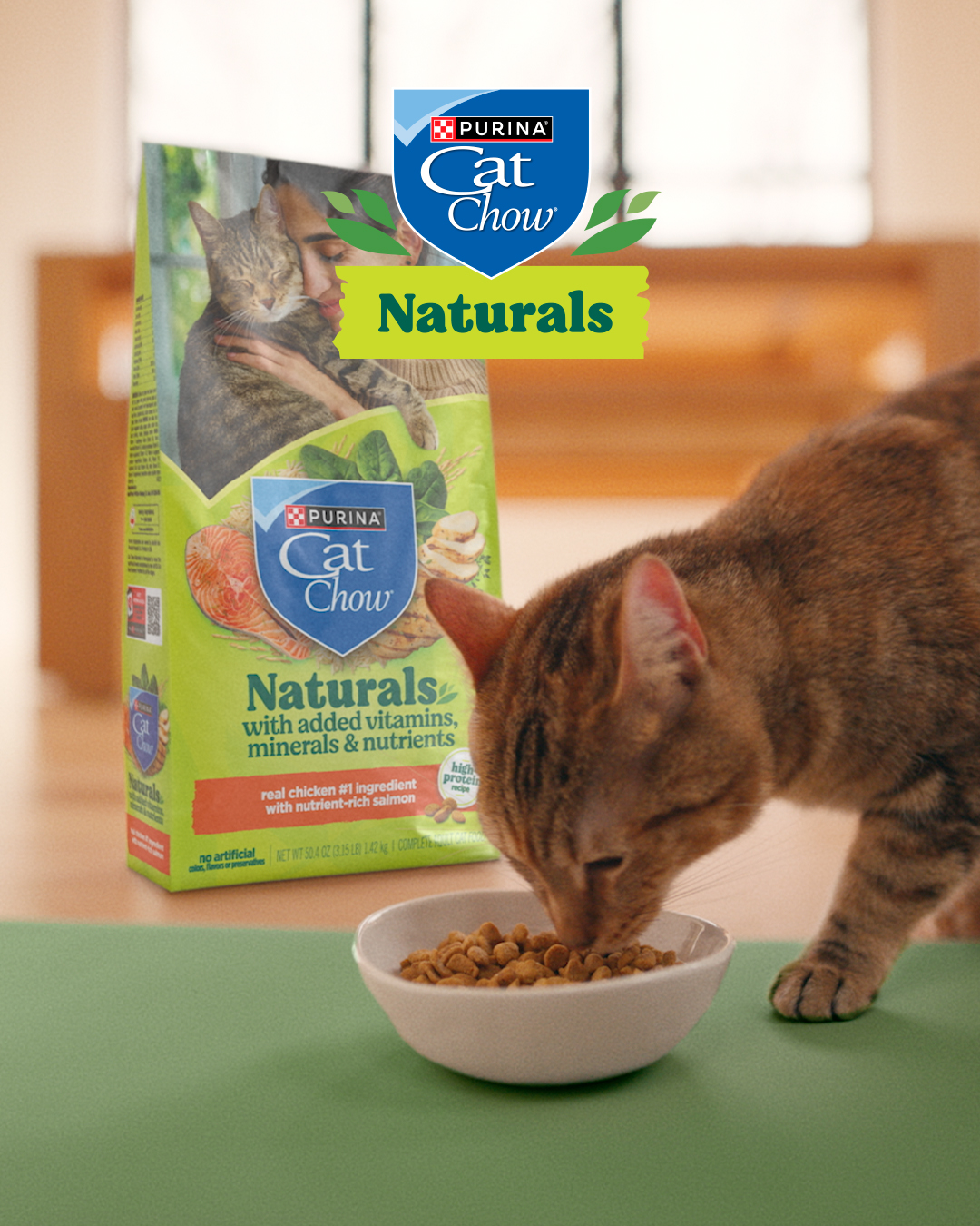 Purina Cat Chow Facebook ad from Aug 28, 2026