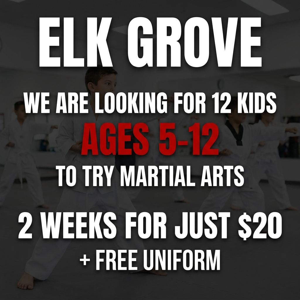 Elk Grove Academy - Family Taekwondo Facebook ad